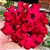 Rosa do Deserto - MISS RDMN - Imagem 1