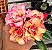 Rosa do Deserto - LOLIPOP POP - Imagem 3