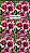 Rosa do Deserto - SINHÁ MOÇA - Imagem 2