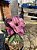 Rosa do Deserto - ZAFIRA - Imagem 2