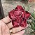 RD - Red Velt - Imagem 1