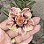 RD - Golden Flowers - Imagem 1