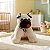 Pelúcia Infantil Que Vira Travesseiro Pug Zé Creme - Zip - Imagem 1