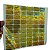 Selo Holográfico Void 24x15mm Retangular Cor Dourado Com Númeração Sequencial - Imagem 2