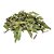 Eucalipto (Eucalyptus globulus Labill) Pacote 200g - Imagem 1