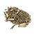 Assa-peixe (Vernonia polysphaera) Pacote 100g - Imagem 1