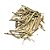 Folha De Oliveira (Olea europaea) Pacote 200g - Imagem 1