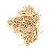 Algodoeiro (Gossypium herbaceum)  Pacote 200g - Imagem 1