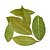 Louro em Folhas  Pacote 50g - Imagem 1