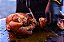Rack Pit Smoker Frango Cerveja - Imagem 6