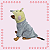 Kigurumi Pet - Calopsita - Imagem 3
