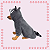 Kigurumi Pet - Guaxinim - Imagem 2