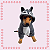 Kigurumi Pet - Guaxinim - Imagem 3