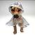 Capa de Chuva - Pet - Imagem 1