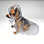 Capa de Chuva - Pet - Imagem 2