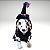 Kigurumi Pet - Bruxinha - Imagem 5