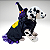 Kigurumi Pet - Bruxinha - Imagem 1