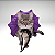 Kigurumi Pet - Capa Vampiro Roxa - Imagem 1