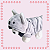 Kigurumi Pet - Coala - Imagem 3