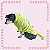 Kigurumi Pet - Camaleão - Imagem 1
