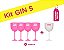 Kit Gin 5 Rosa Pronta Entrega para Despedida de Solteira - Imagem 1