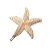 Presilha Estrela do Mar Dourada - Imagem 1
