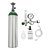 KIT OXIGENIO 3 LITROS – COM BOLSA SEM CARGA - Imagem 2