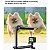Bastão Extensor 3Way Monopod Vlog para GoPro DJI Insta 360 - Imagem 6