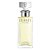 Eternity Calvin Klein Perfume Feminino EDP 100ml Selo Adipec - Imagem 1