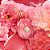 The Icon Splendid Perfume Feminino EDP 100ml Selo Adipec - Imagem 3