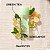 Green Tea Scent Elizabeth Arden Feminino 100ml Selo Adipec - Imagem 2