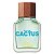 Green Cactus For Him Benetton Masculino EDT 100ml Selo Adipec - Imagem 2