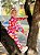 Conjunto Florinda Moletinho - 02 anos - Imagem 2