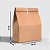 Saco Para Delivery Kraft SOS Médio Liso 30x20x12 100 unidades - Imagem 1