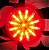 Lente da Lanterna Foguinho Vermelha 25 LEDs bivolt 12v/24v - Imagem 1