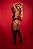 BODY MARIE - Imagem 3