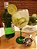 Conjunto 1Taça de GIN Verde - Enfeite Decorativo Minimalista Aramado - Imagem 1