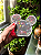 EcoBox Mouse 3D Kit com 3 Organizadores 14 x 3cm - Imagem 2