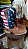 Bota Texana Texas rodeio cano americano - Imagem 4