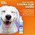 Spray Anti-Hálito Segura Esse Bafão Express Animal Republik Sabor Menta 120ML - Imagem 3