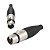 CONECTOR PLG XLR LINHA FEMEA SA2X NIQUELADO - SANTO ANGELO - Imagem 1