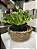 Cesta bowl P - Imagem 2