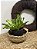 Cesta bowl P - Imagem 1
