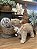 Urso natural - Imagem 1