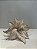 Poinsetia decorativa champagne - Imagem 1