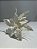 Poinsetia off white 45cm - Imagem 1