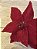 Poinsetia decorativa vermelha - Imagem 2