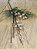Galho berry natural 65cm - Imagem 1
