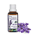 Óleo Essencial Pronto Para Pele Lavanda 30ml WNF Lojas Therapon - Imagem 1