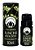 Óleo Essencial Erva Doce (Funcho) 10 ml Bioessencia - Imagem 1